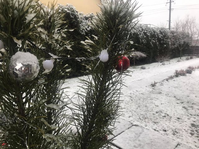 Захід України на Різдво засипало снігом: казкові фото і відео